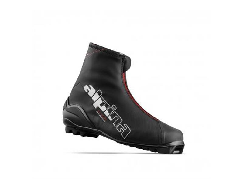 Alpina ACL skisko